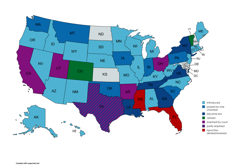 Social media age verification laws in the United States